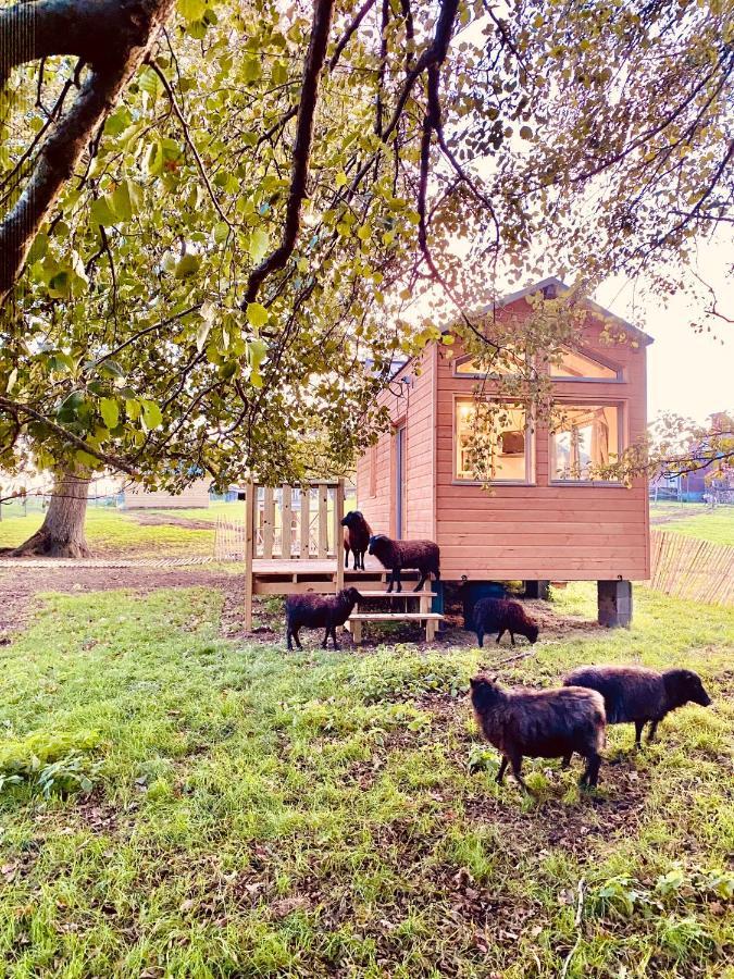 Jolie Tiny House Sous Les Grands Arbres Villa Cholet Eksteriør billede