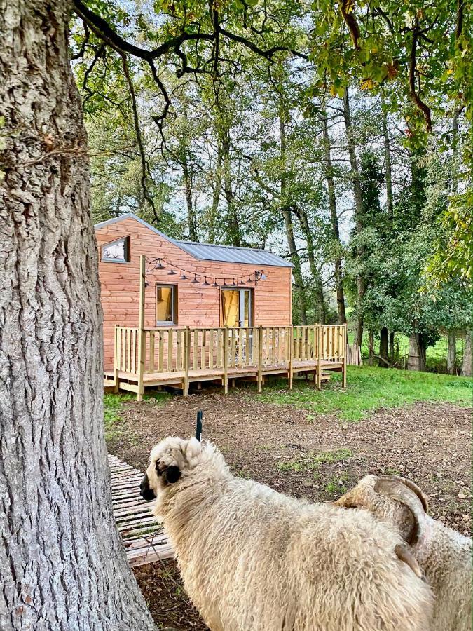 Jolie Tiny House Sous Les Grands Arbres Villa Cholet Eksteriør billede