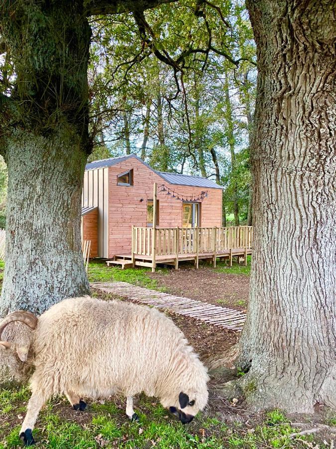 Jolie Tiny House Sous Les Grands Arbres Villa Cholet Eksteriør billede