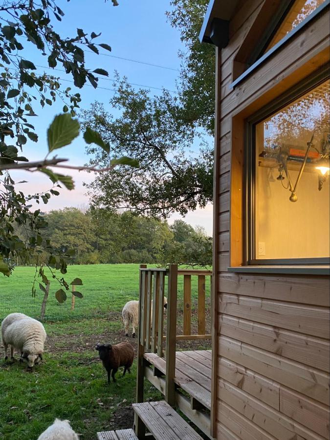 Jolie Tiny House Sous Les Grands Arbres Villa Cholet Eksteriør billede
